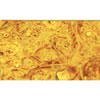 Stabilized Box Elder Yellow Bottle Stopper Blank