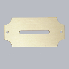 Ornamental Brass Coin Slot Plate