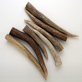 Deer Antler 1 lb/Pack Pen Blanks