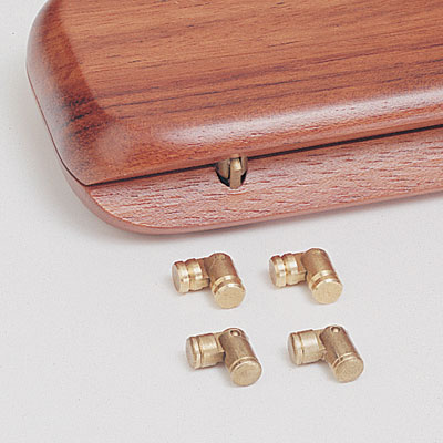 Mini Brass Hinges