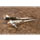 Majestic Black T/N & Rhodium Letter Opener