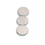 Rare Earth Magnets: 1/2" x 1/8" (10 pack)