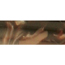 Crushed Velvet Amber 3/4" x 3/4" x 5-1/8" Pen Blank