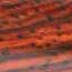 Diagonally Cut 5 Pack Cocobolo 3/4" x 3/4" x 5" Pen Blanks