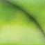 Aquabright Green & Black 3/4" x 3/4" x 5" Pen Blank