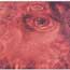 Stabilized Buckeye Burl, Red 3/4" x 3/4" x 5"