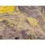 Stabilized Buckeye Burl, Black 3/4" x 3/4" x 5"