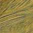 Premium Collection Lignum 2" x 2" x 12" Spindle Blank