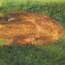 Stabilized Green Maple Burl 7/8" x 7/8" x 5" Jumbo Pen Blank
