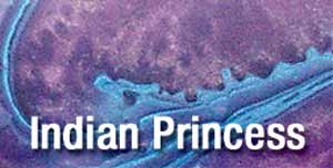 Mica Pearl Indian Princess - 3/4 x 3/4 x 5"