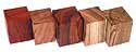 Wide Blank Assortment 1ea of Popular Collection species /5pk