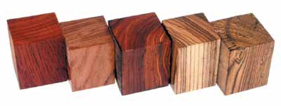 Wide Blank Assortment 1ea of Popular Collection species /5pk