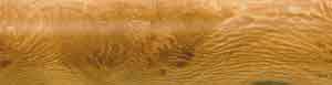 Lignum 3/4 x 3/4 x 5-1/2 (5pk)
