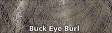 Premium Jumbo Blanks- Buckeye burl