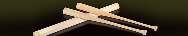 Baseball Bat Kits