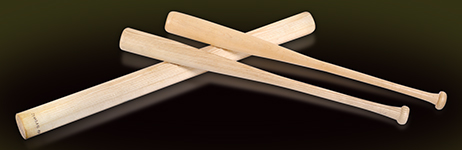 Baseball Bat Kits