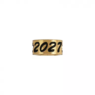 2027 Slimline Golden Pencil Band