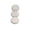 Rare Earth Magnets: 1/2 in. x 1/8 in. (10 pack)