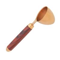 Coffee Scoop Two Tablespoon Gold TN Kit